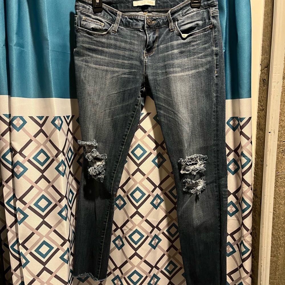 Daytrip Skinny Jeans